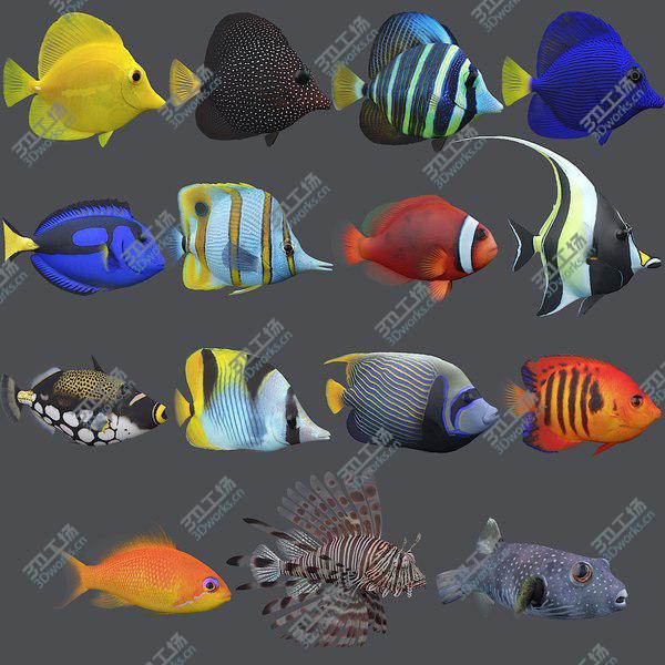 images/goods_img/20210312/Coral Reef Fish Collection 3D model/2.jpg